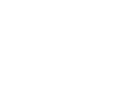 SATELITOR EXTRA RAI 2